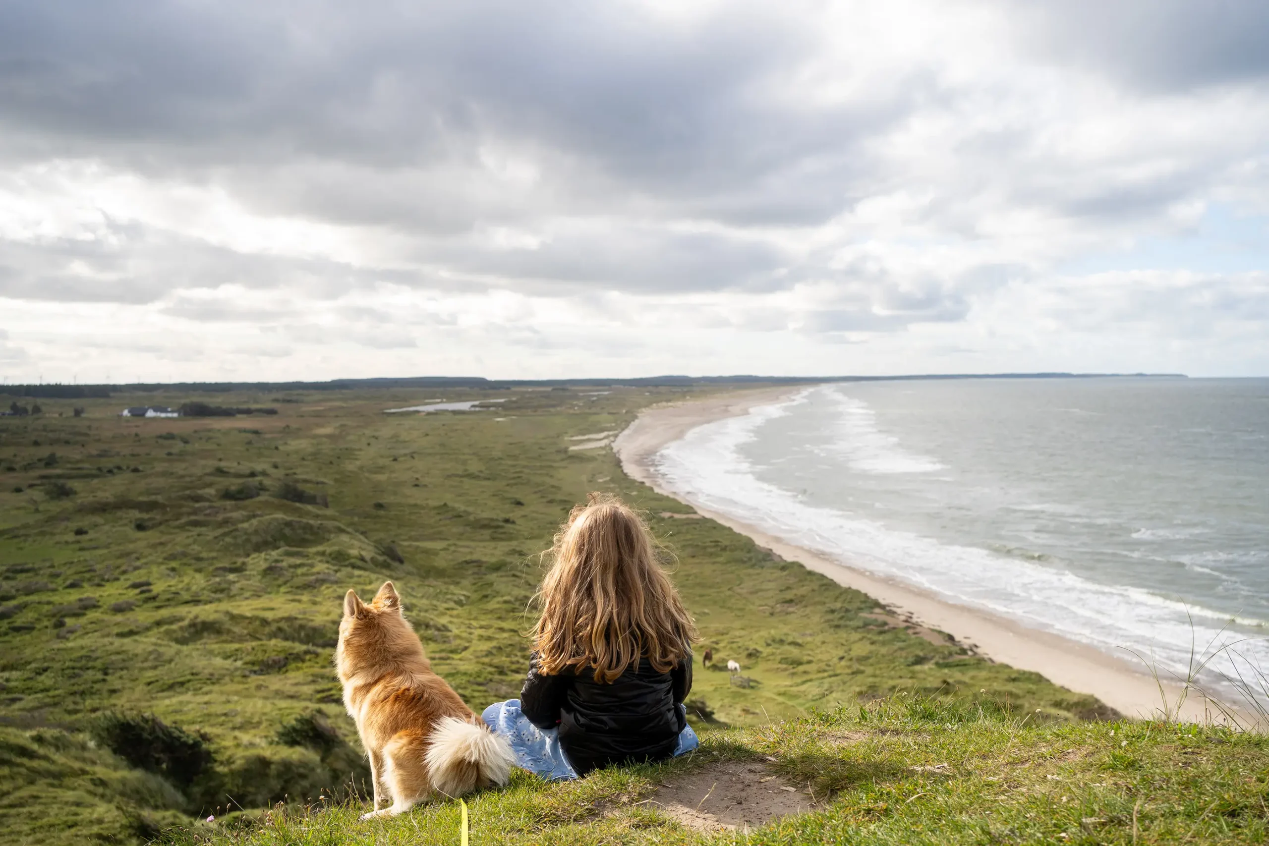 Kom på weekendophold med hund i Slettestrand | Foto: Kristian Skjødt