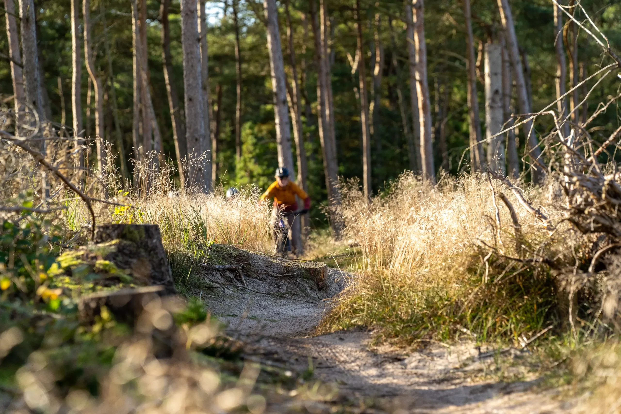 Mountainbike spor i Slettestrand | Foto: Kristian Skjødt